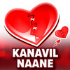 Kanavil Naane - Vinoth Chandar&Nikhil Mathew&Srinisha