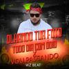 Olhando Tua Foto Todo Dia Com Ódio X Vou Passando - WZ Beat