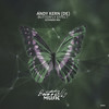 Butterfly Effect (Radio Mix) - Andy Kern (DE)