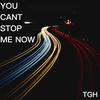 You Cant Stop Me Now - isLeo_T