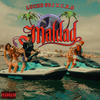 Maldad (Explicit) - Lucho SSJ&C.R.O