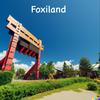 Foxiland (feat. Mees) - Foxi&mees