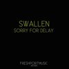 Sorry for Delay (David Temessi Remix) - Swallen