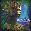 Fertile (Original Mix) - Eliyahu (IL)