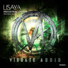 Industrial Chaos (Extended Mix) - Lisaya