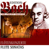 II. Allegro - Eckart Haupt&Armin Thalheim&Siegfried Pank