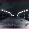 Prospect (Original Mix) - DJ Pasha Shock