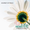 Journey Of Peace (Original Mix) - Krith Iyer