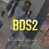 BDS2 - Beatbox Hommie