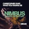 What You Wanna Be (Original Mix) - Christopher Duke