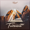 Driving Me Crazy(Tritonia 361) - Plastik Funk&RAIDH&Kamix&Kiyoto