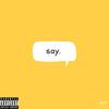 Say(feat. Tripp) (Explicit) - S&P&Tripp