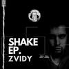 Shakin (Original Mix) - ZviDy