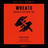 Dedication (Original Mix) - Wheats