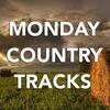 Shame on You - Red River Dave McEnery