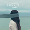 Break True - ShahBass