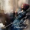 Too Soon to End - Alain Clark&Diane Birch