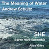 The Meaning of Water - SHE Seven Harp Ensemble&Andrew Schultz&Alice Giles