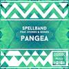 Pangea (Instrumental Mix) - Spellband&Stones & Bones