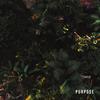 Purpose - Malvae&Esther Veen