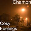 Cosy Feelings - Chamon