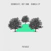 Hard To Understand (Original Mix) - Boombeatz&ROY EMM