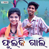 Phulki Gali - Sanju Mohanty&Raju Nanda&Sudipta&Lipsa&Biju&Annu