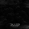 Raindrops (RUR Remix) - Dulep&rur