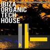 Black Label (Instrumental Mix) - Detroit 95 Project&Terry De Jeff