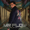 Vamos Pa La Calle - Mr Flow