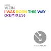 I Was Born This Way (Hector Fonseca & Eduardo Lujan Remix) - Vizin&Hector Fonseca&Eduardo Lujan