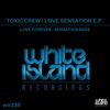 Love Forever (Original Mix) - Toxic Crew