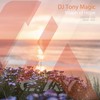 Vision of Hope (radio edit) - DJ Tony Magic