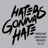 HATERS GONNA HATE (Explicit) - S.L.I.C