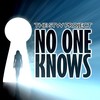 No One Knows (Radio Edit) - The Stw Project