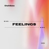 Feelings - ShahBass