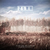 Fields of Gold (with Michael Lanza) (Acoustic) - nøll&Michael Lanza
