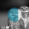 Illusion - Maureen&U-Nick