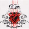 Another Cold Day (Explicit) - Caliban