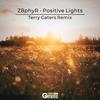 Positive Lights (Terry Gaters Remix) - Z8phyR&Terry Gaters&Donovan Townes
