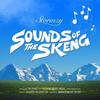 Sounds of the Skeng (Explicit) - Stormzy