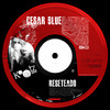 Midnight - Cesar Blue
