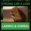 Strong Like a Lion - Labmig&Gimbal