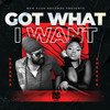 Got What I Want - Sherece&Kananga