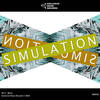 Simulation (Original Mix) - MRTNZ