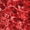 Here We Are (Explicit) - Isaac Zale&Cherry Blu
