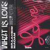 What Is Love - Braaheim&Maoam&DEE DEE HALLIGAN&JUNIOR TORELLO