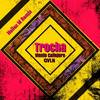 Trocha[feat. Qvln] (Hallex M Remix) - Viento Callejero&Qvln