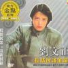 小雨中的回忆 - 刘文正