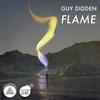 Flame - Guy Didden